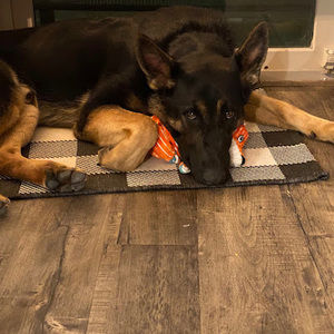 Meet your Posher, Caleb